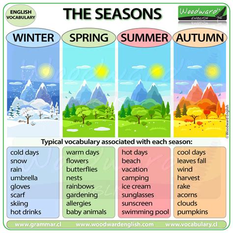 4 Seasons Summer 1xbet