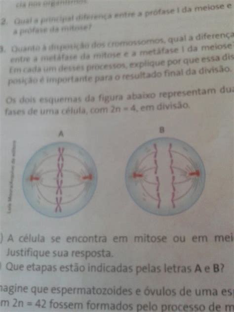 A Meiose Poker Respostas