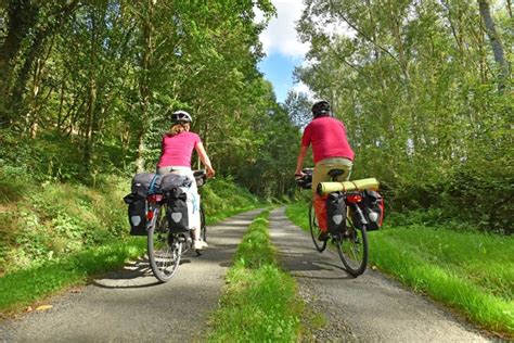 A Partir De Quelidade Velo Sans Roleta