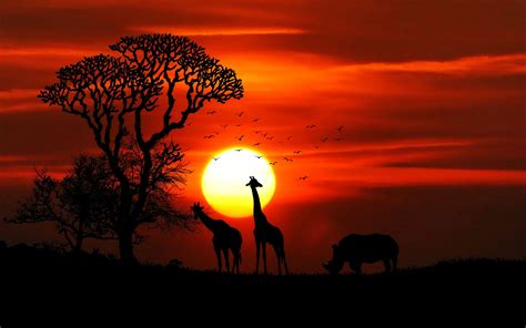African Sunset 1xbet