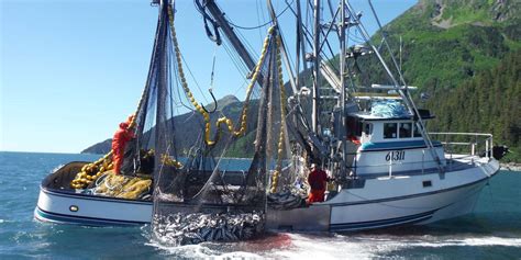 Alasca A Pesca De Fenda De Revisao