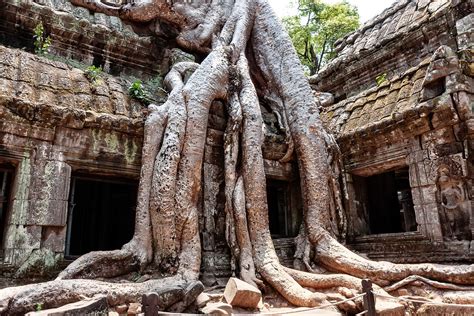 Angkor Betano