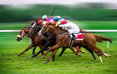 Apostas Em Corridas De Cavalos Novo Hamburgo