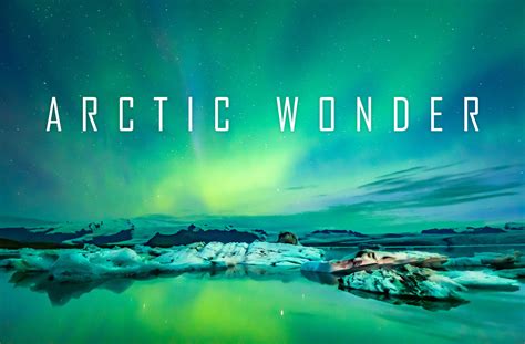 Arctic Wonders Review 2024
