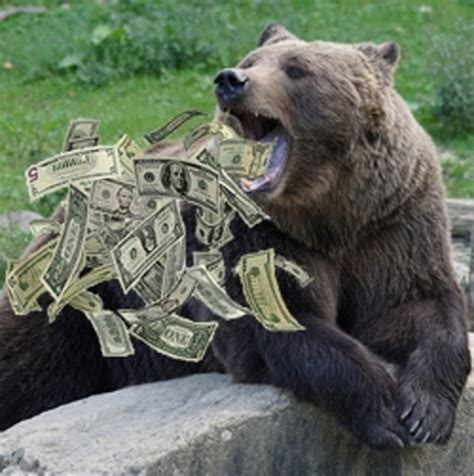 Bear Money Bodog
