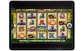 Betnero Casino App