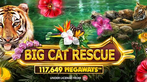 Big Cat Rescue Megaways Bet365