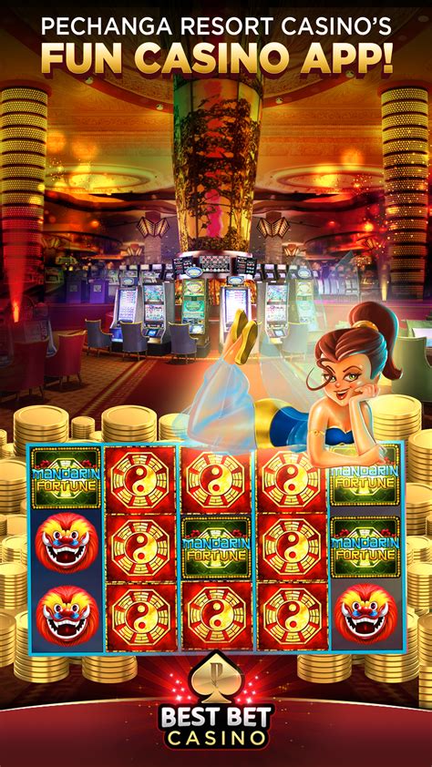 Bingo Bet Casino Online