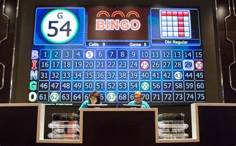 Bingo Halli Casino Login