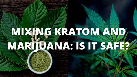 Blackjack Kratom