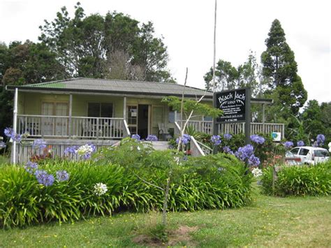 Blackjack Lodge Coromandel