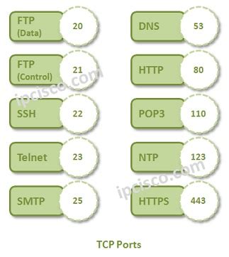 Blackjack Udp 1025