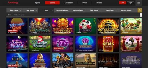 Bodog Movel Slots