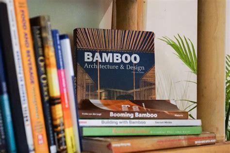 Book Of Bamboo Betsson