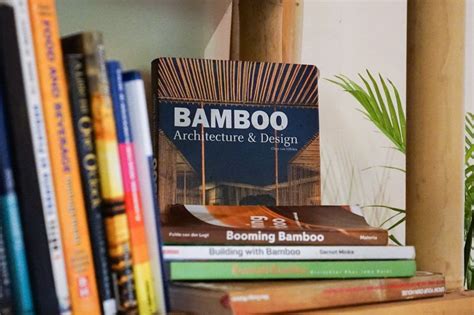 Book Of Bamboo Blaze
