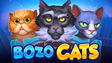 Bozo Cats Review 2024