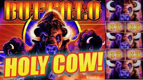 Buffalo Bet Casino Apk