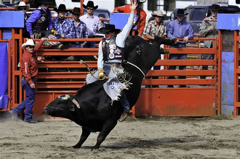 Bull In A Rodeo Netbet