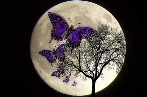 Butterfly Moon Bwin