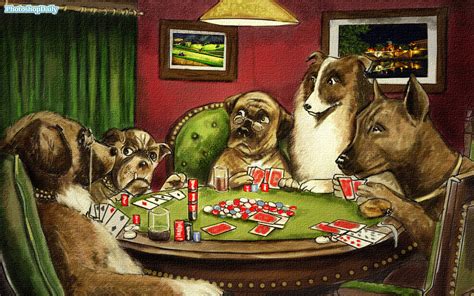 Caes De Poker Imagem