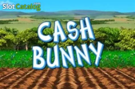 Cash Bunny Review 2024