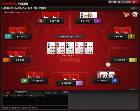 Cash Encounter Bodog