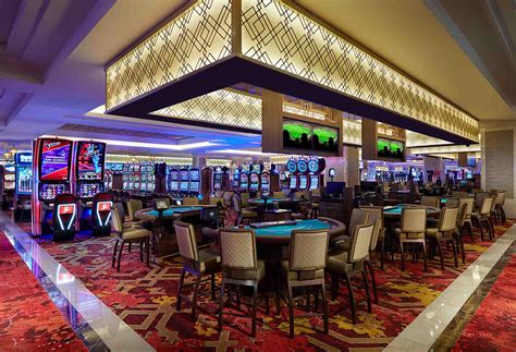 Casino Cruzeiro Tampa Florida