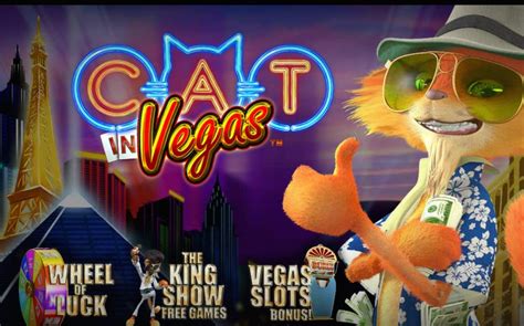 Cat In Vegas Bodog