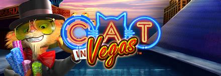 Cat In Vegas Pokerstars