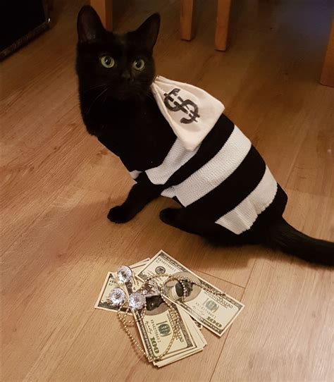 Cat Thief Leovegas