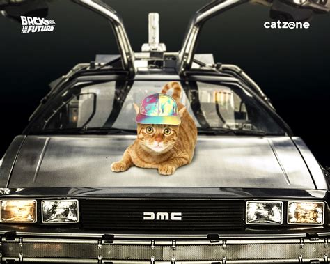 Cat To The Future Betway