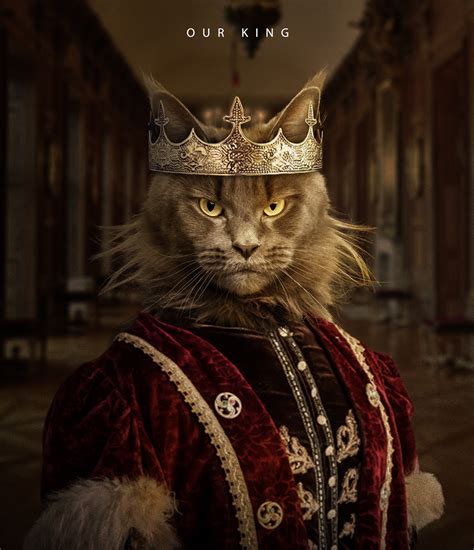 Cats Royal Brabet