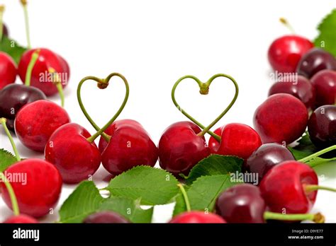 Cherry Love Bodog