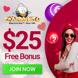 Cyber Bingo Casino Apk