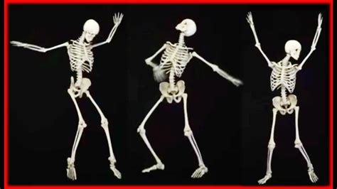 Dancing Bones Netbet