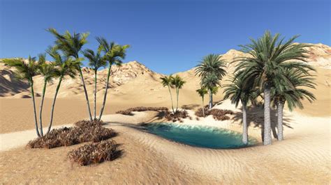 Desert Oasis Bet365