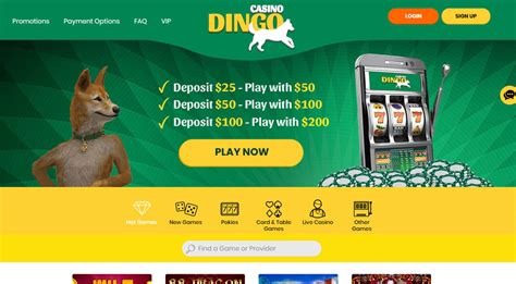 Dingo Casino Online