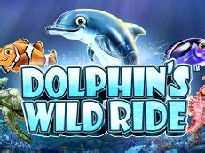 Dolphin S Wild Ride Review 2024