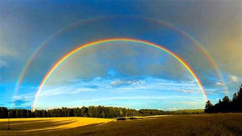 Double Rainbow Novibet