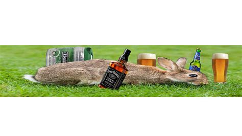 Drunk Rabbit Leovegas