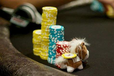 El Poker Es Cuestion De Suerte