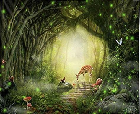 Fairy Forest Review 2024