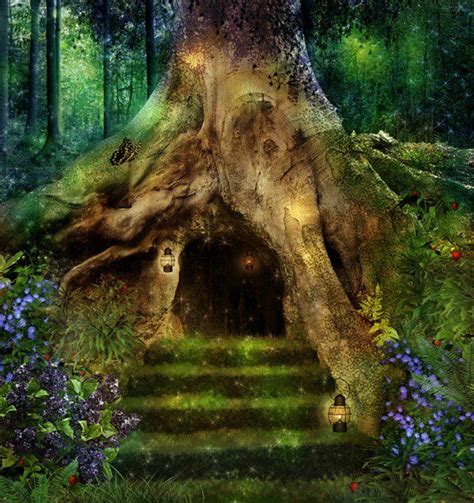 Fairy Tree Forest Betfair