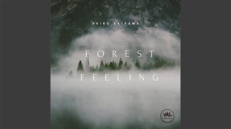 Feelings Forest Betano