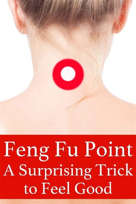 Feng Fu Netbet