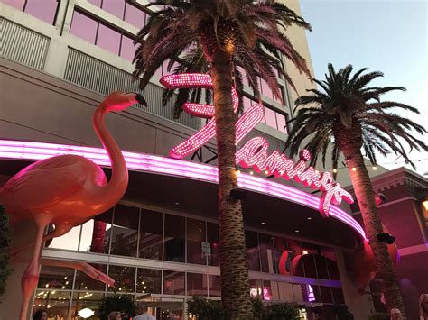 Flamingo Casino New Orleans