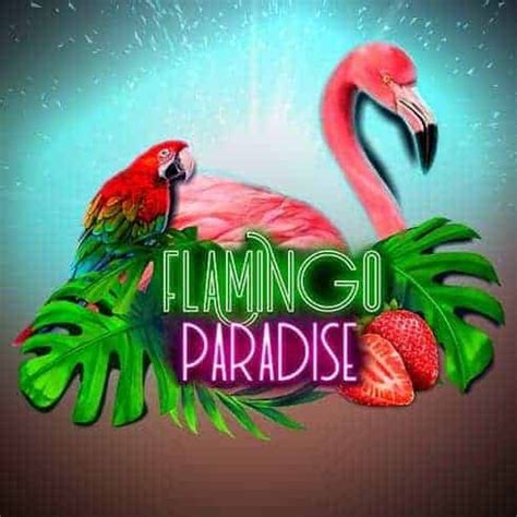 Flamingo Paradise Netbet