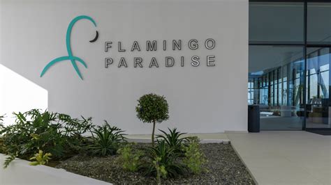 Flamingo Paradise Parimatch