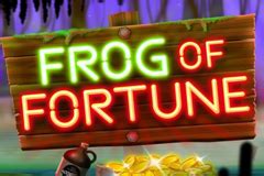 Frog Of Fortune Betano