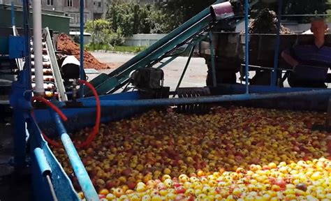 Fruto Caso De Maquina De Fenda